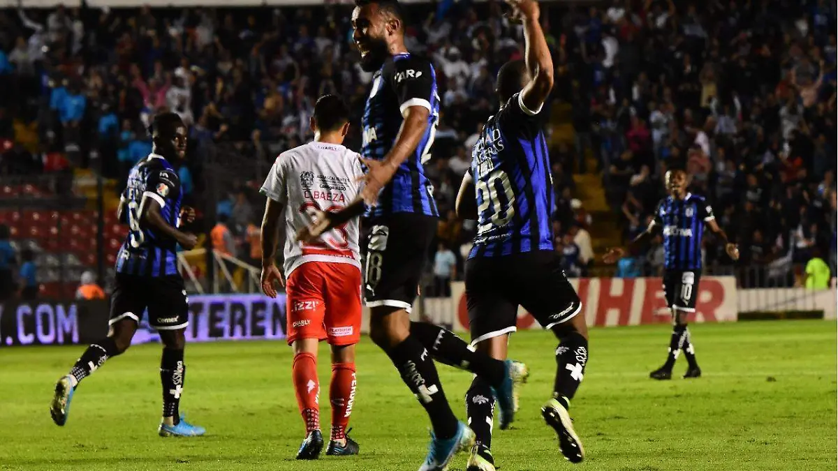 gallos blancos